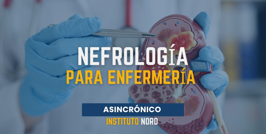 nefrologia.png