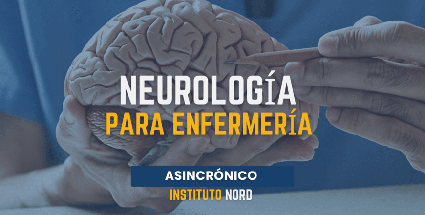 neurologia.png