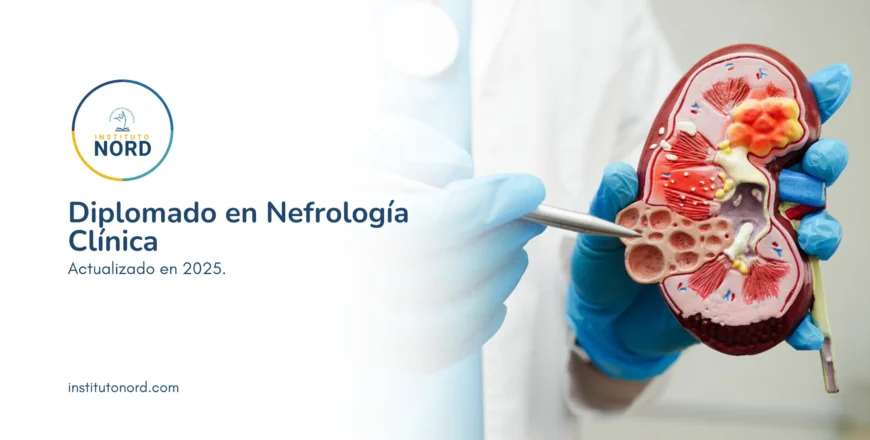 Nefrologia_Clinica_2025_Optimizada.webp